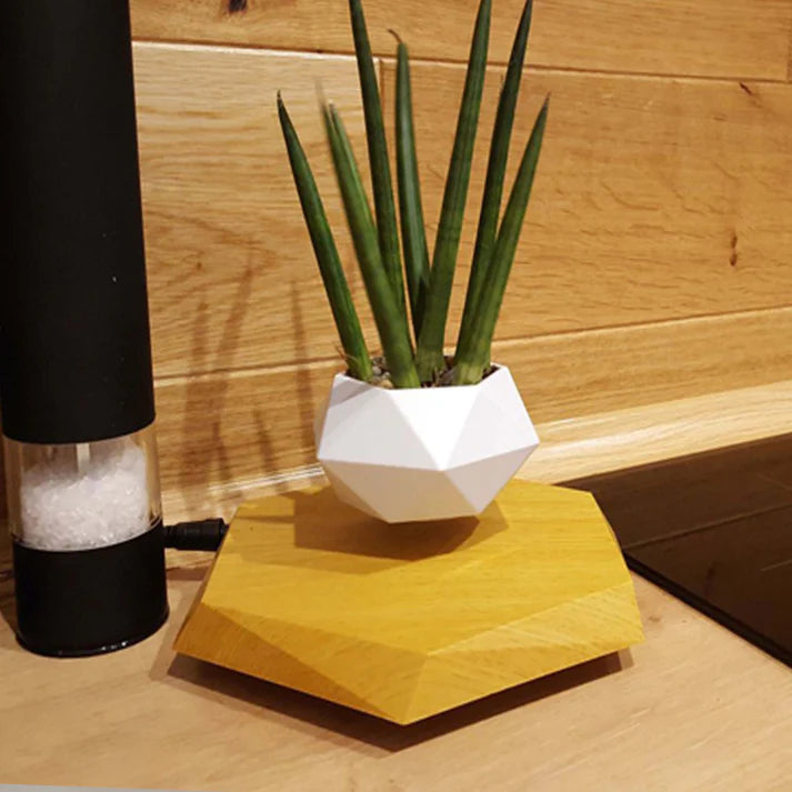 LeviFlora Floating Plant Pot