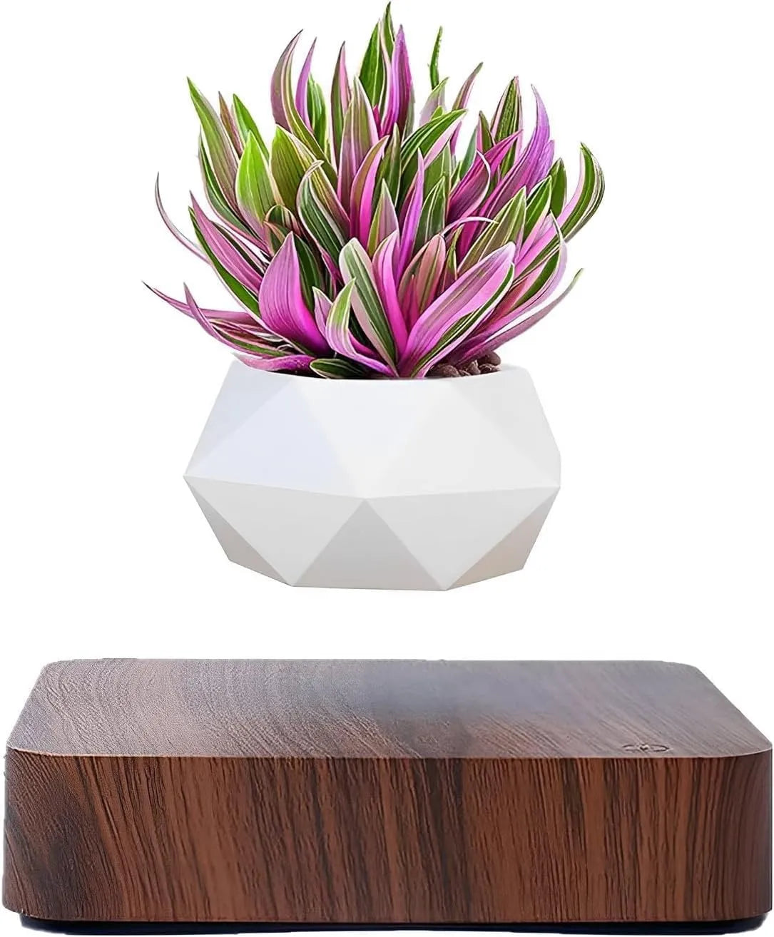 LeviFlora Floating Plant Pot